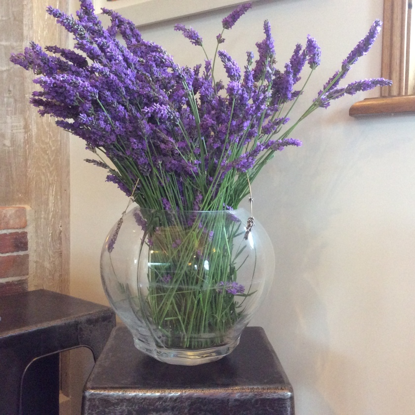 A bunch of lavender. When dry, it will be put into sachets in the linen cupboard.