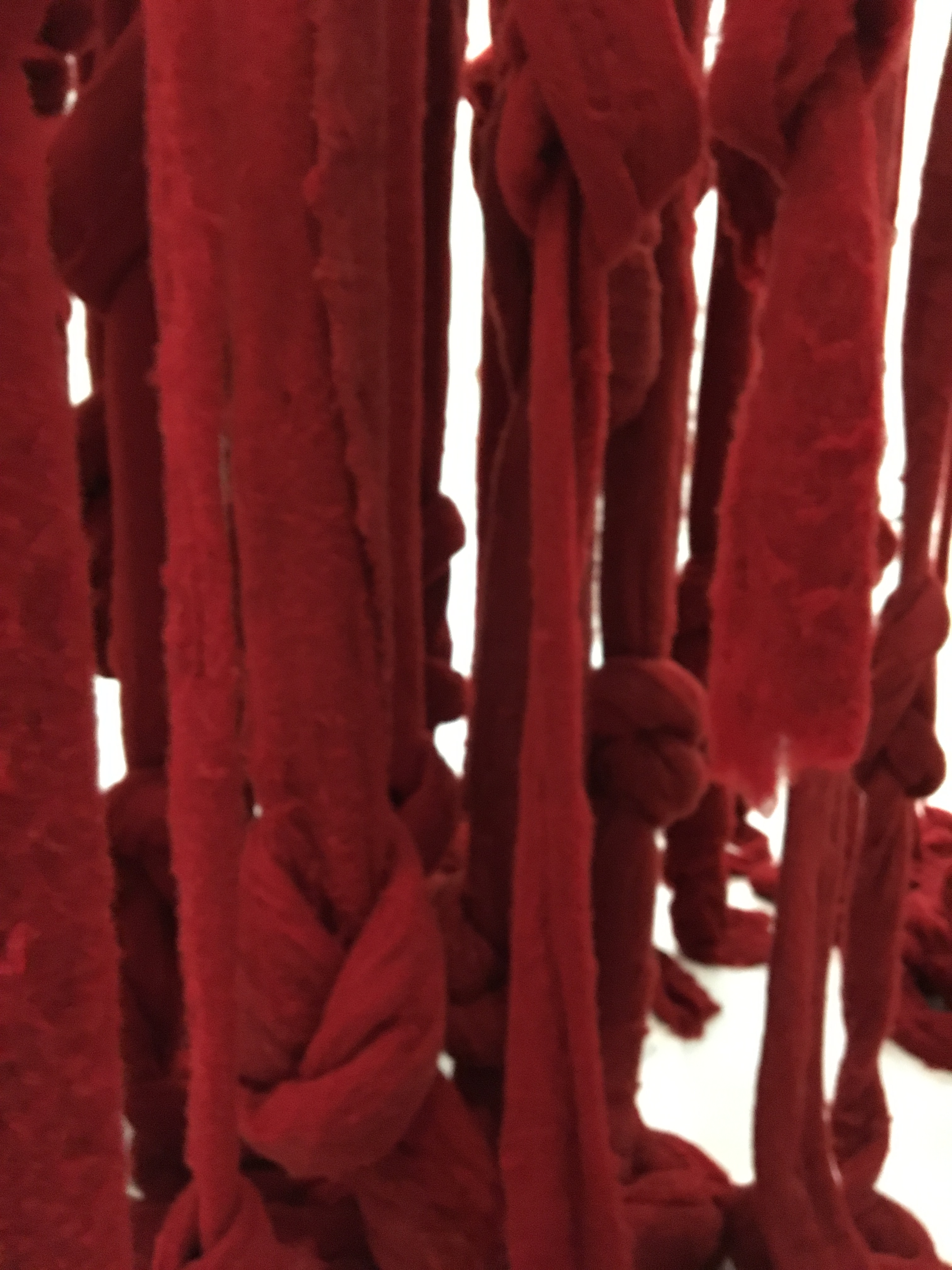 Installation by Cecilia Vicuña for Documenta Athens