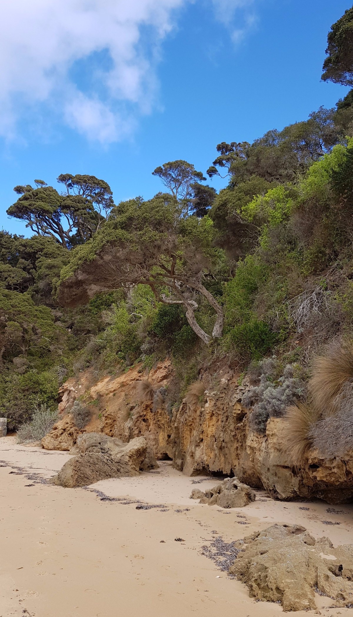 SAL #4 ~ Portsea&nbsp;Cliff