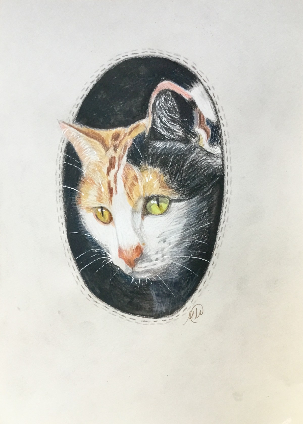 A collection of pet&nbsp;portraits